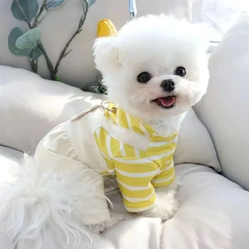 2024 Pet Four legged Pants Can Pull Dog Clothes Teddy Bears Small Dog Spring/Summer Thin Style