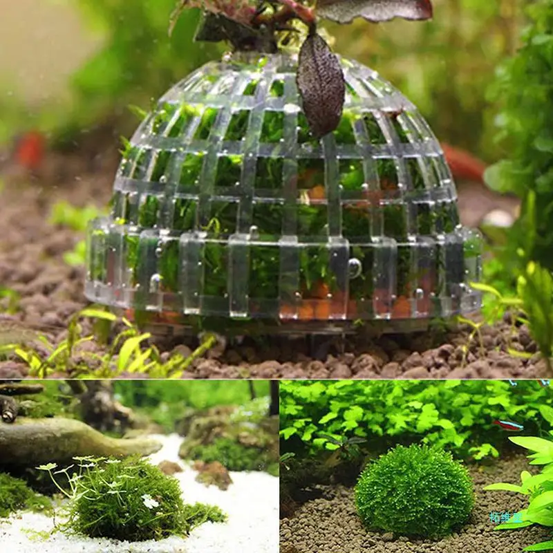 1pc Aquatic Pet Supplies Decorations Aquarium Moss Ball Live Plants Filter For Java Shrimps Fish Tank Pet Fish Tanks Decor