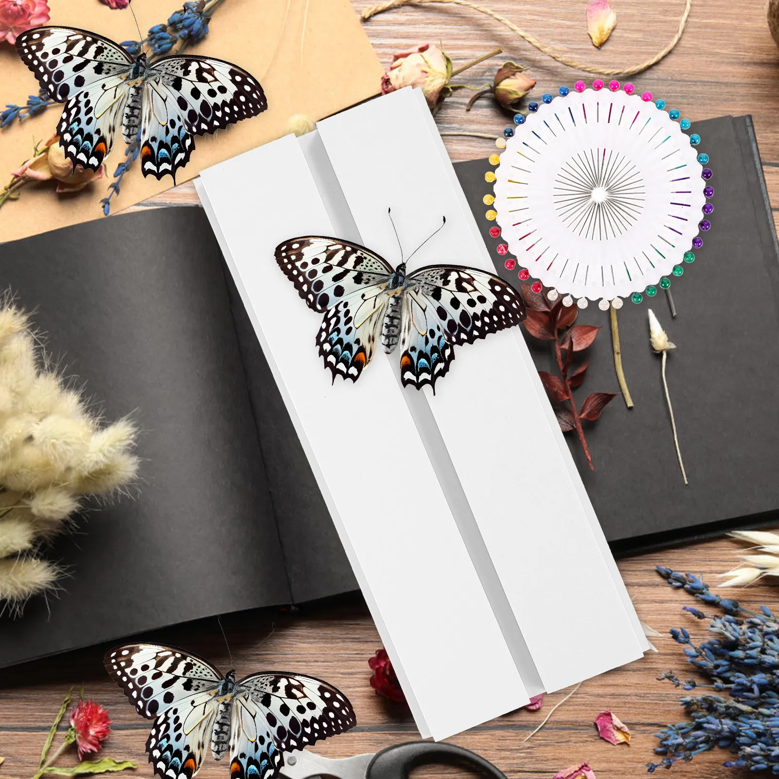 Premium Insect Mounting Spreading Board for Specimen Display and Preservation Butterfly Pinning Kit for Collectors