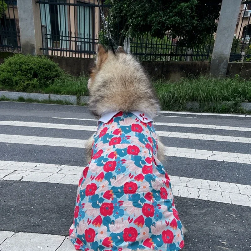 Spring  Summer Pet Parent-child Clothing Gorgeous Neon Dress Teddy Cat Fighting Bull Alla Golden Retriever Big Dog Skirt