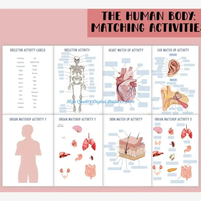 U2JE Engaging Human Body Structure Anatomy Learning Tool For Hands On Educations