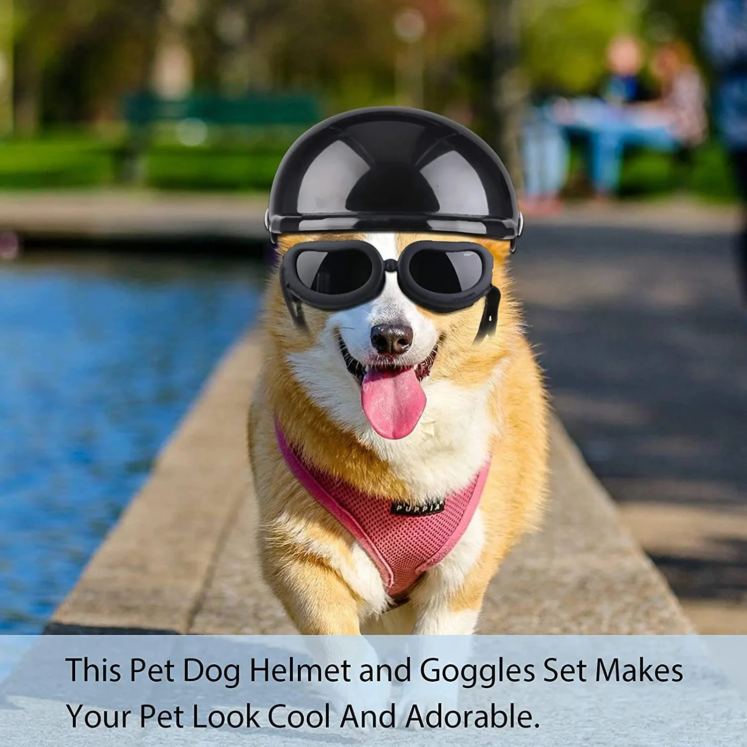 Dog Helmet  Small Dogs Pet Motorcycle Helmet Hat with Ear Holes Sport Dog Hard Hat Outdoor Bike Doggy Cap for Dogs and Cat