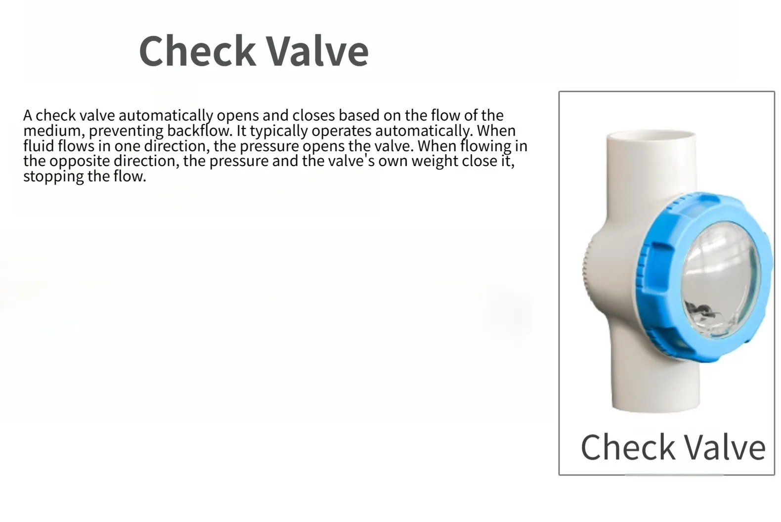 2 Inch Pool Safety Check Valve Constructed from ABS and PVC with Transparent Lid for Water Movement Observation and Control