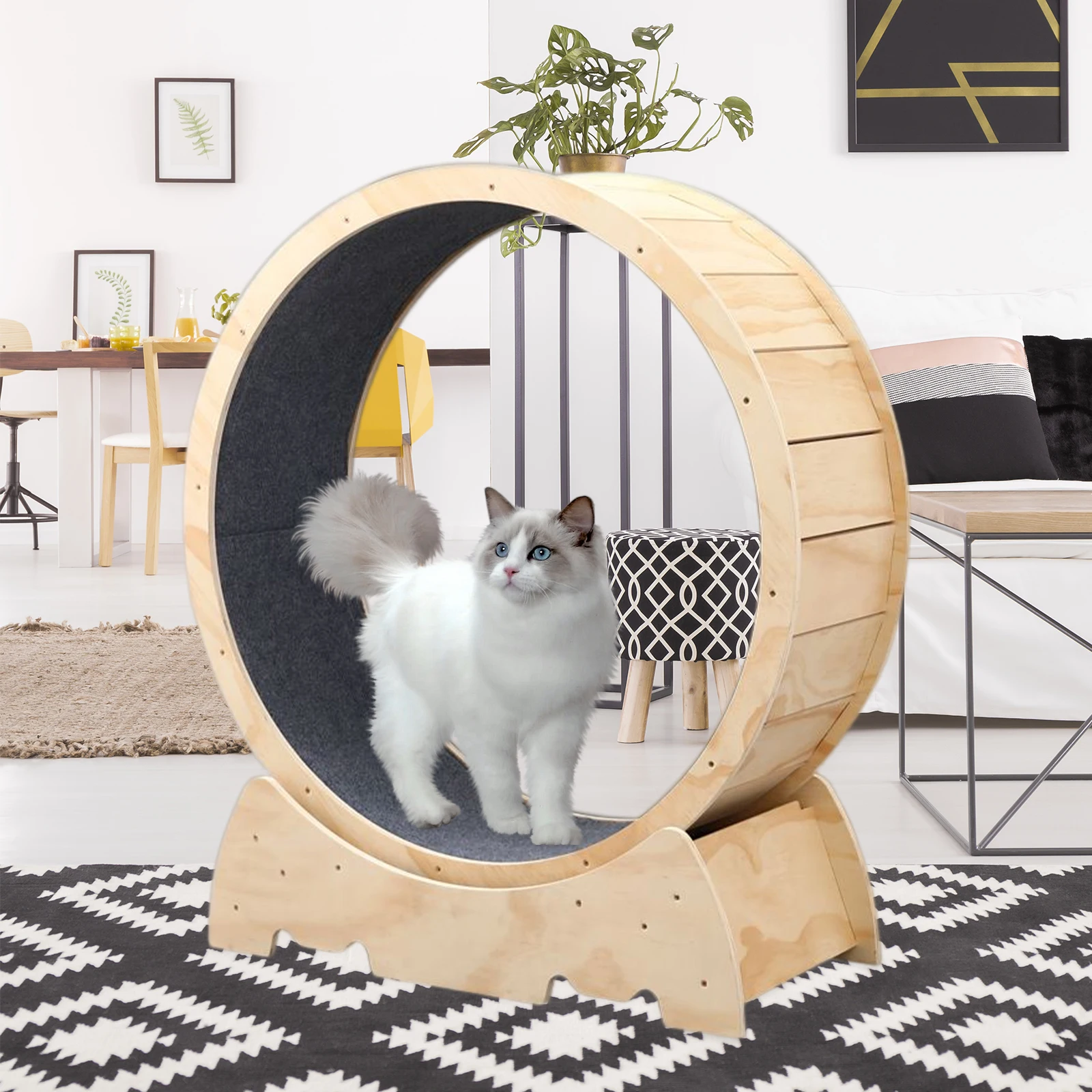 Pet Noiseless Cat Running Wheel Indoor Pet Exercise Treadmill Trainer Kitten Scratcher Board Climbing Wheel Pet Supplies