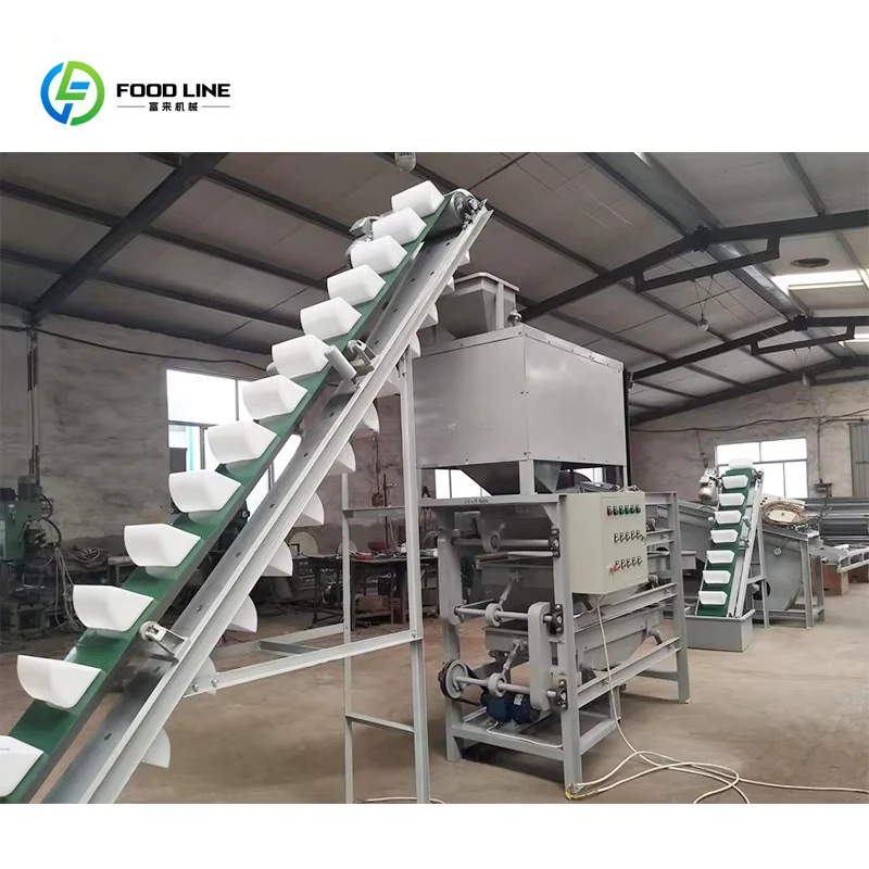 Customize Nuts Production Line Pistachio Pine Walnut Almond Hazelnut Macadamia Nut Processing Machine