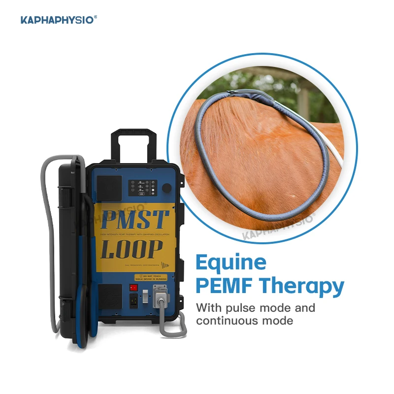 

Импульсная электромагнитная терапия Equine Loop PEMF для гоночного конька