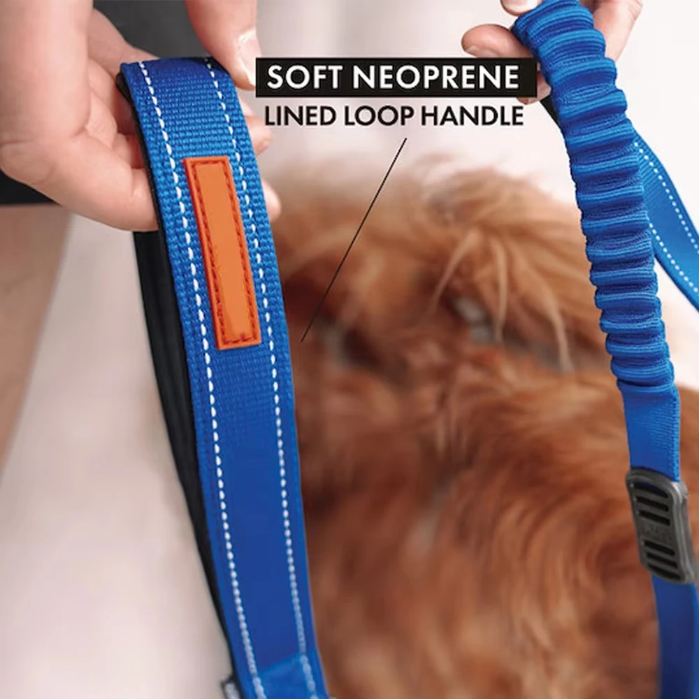 Classic Soft Touch Nylon Reflective Dog Leash Zero Shock Absorbing Walking Pet Leashes with Traffic Control Handle
