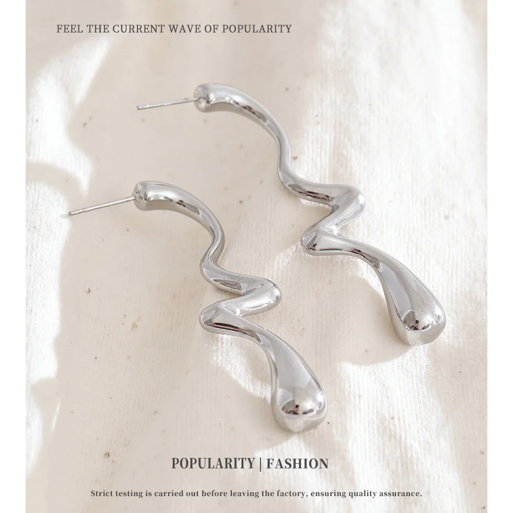 NiNice Stainless Steel Earrings Curved Geometric Fashion Design Selected Jewelry Gifts Wholesale