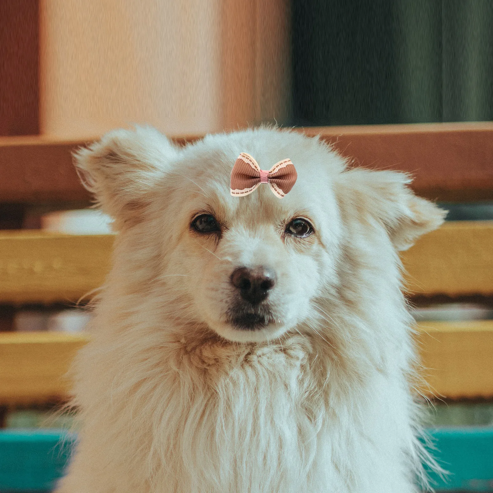 

30pcs Dog Accessories Pet Hair Bow Cat Hair Clip Puppy Grooming Bows Durable Polyester Metal Clip Pet Decoration Dog Cat