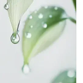 2 Din Radio For Toy… - image