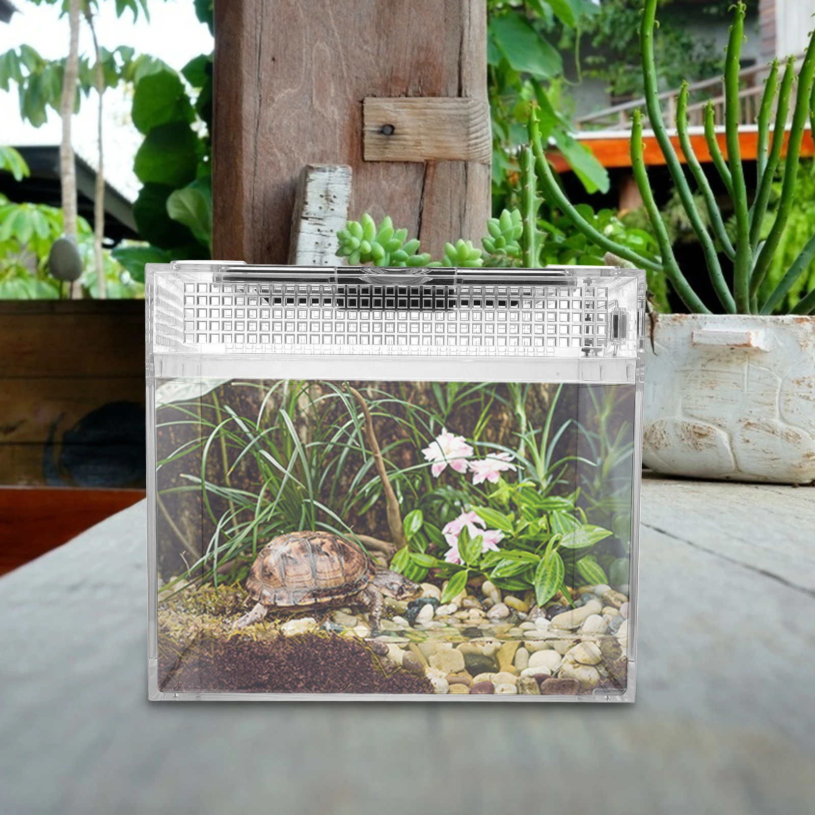 

1Pcs Reptile Feeding Box Medium Size Transparent Breeding Container for Snakes Spiders Geckos Lizards Tortoise