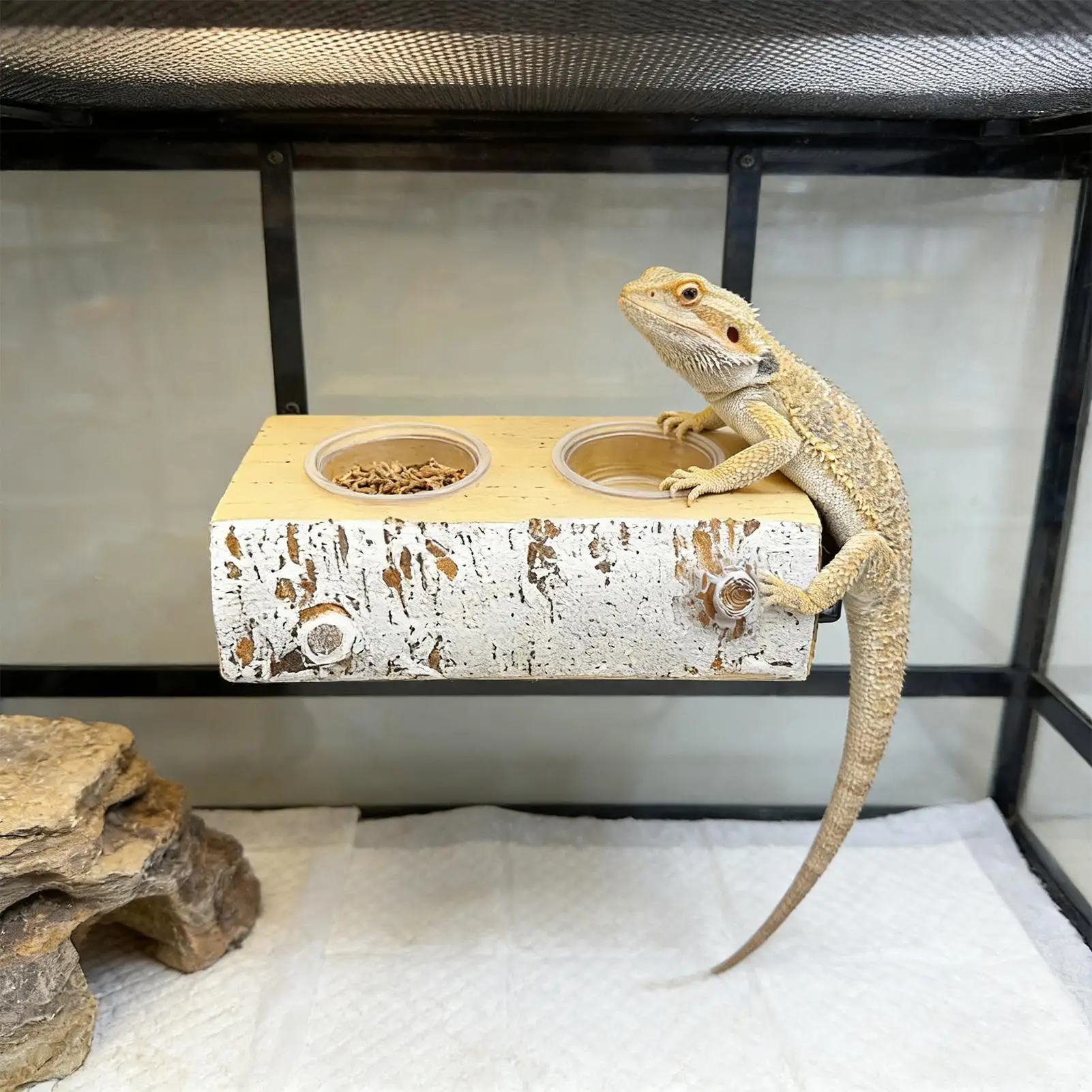 Gecko Feeding Ledge Magnetic Feeder With 10 Feeding Cups Terrarium Bowls Reptile Feeders For Pets Crabs Turtle Spider Bearded