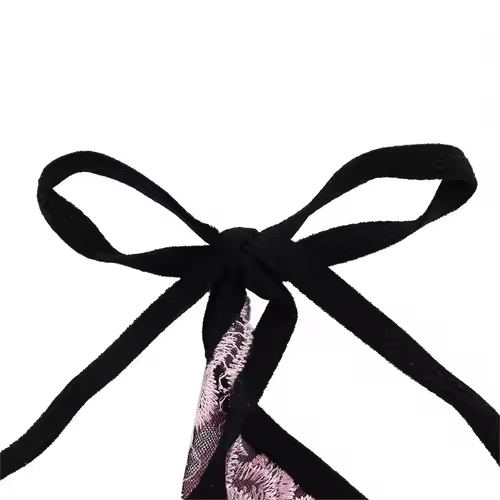 Ladies Women Embroidery Transparent Lingerie Lace Panties Underwear Panty Brief - Image 3