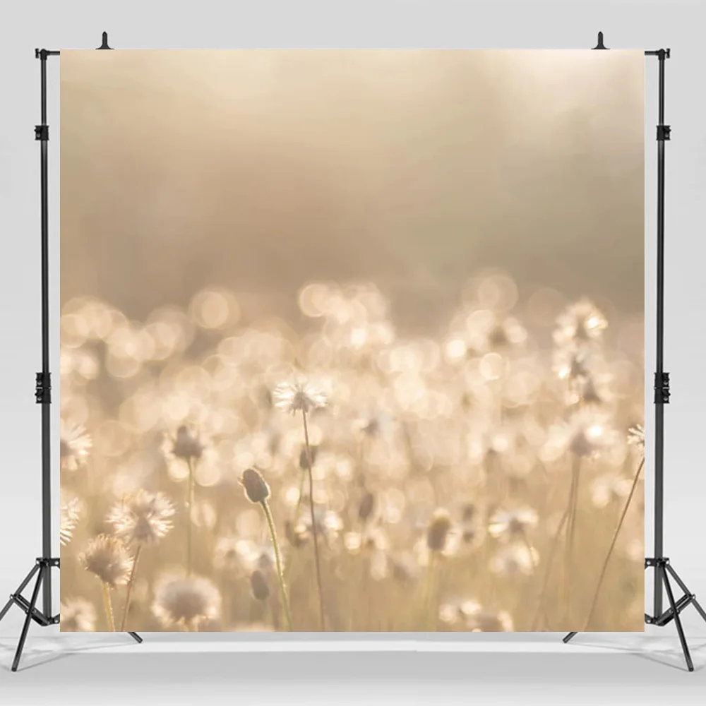 

Maternity Portrait Backdrop Fine Art Bokeh Vintage Landscape Photography Background Mommy and Me Newborn Baby Kids Photo Studio