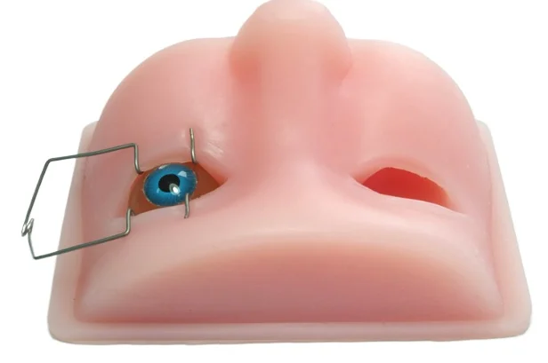 

Teaching of Silica Gel Orbital Training Model Using Medical Model