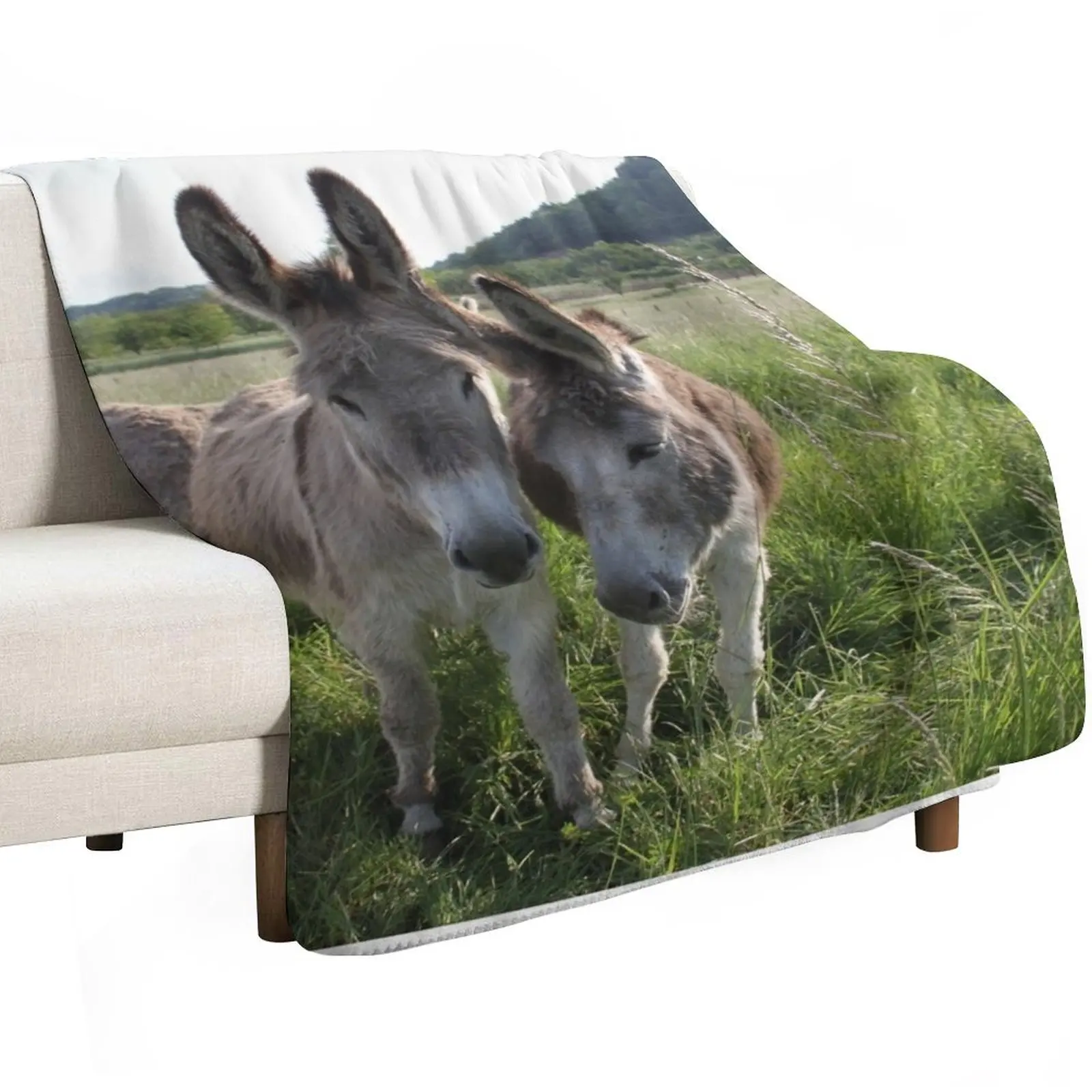 Adorable grey donkeys in the high grass meadow Throw Blanket Breathable Lightweight Blanket for Adults Kids