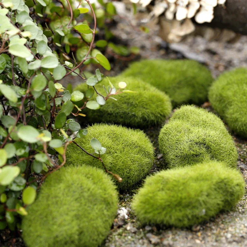 1PCS Ant Farm Mini Moss Stones Decoration Ecology Ant Nest Accessories Tool Pet Anthill for Ant House Micro-Landscape Decoration