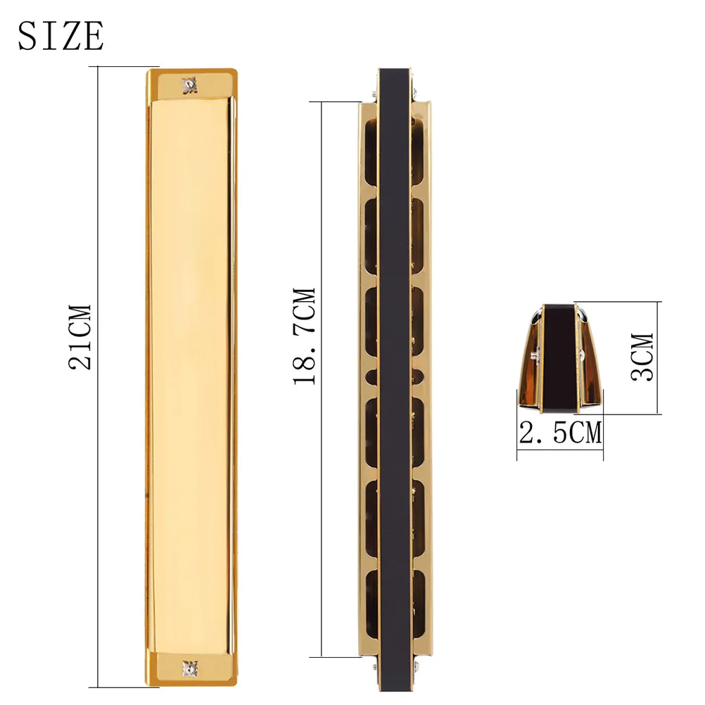 1Pcs C Key Harmonica 28-Hole Polyphonic Stainless Steel ABS Music Instrument Suitable for Beginners Intermediate Blues Folk Jazz