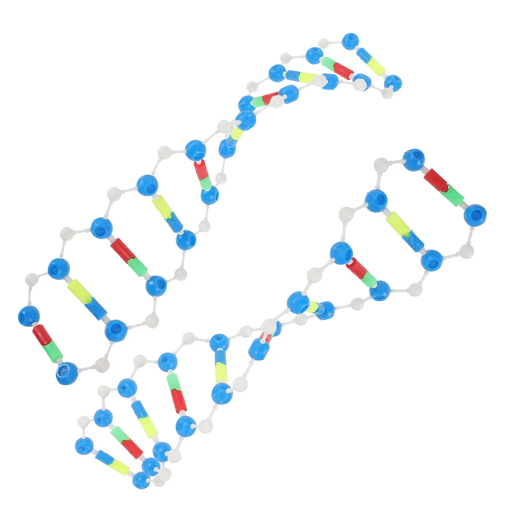 Kit de anstería Dna, modelos de 2 uds., prueba de motor de biología, material didáctico, prueba de juguetes de popularización científica