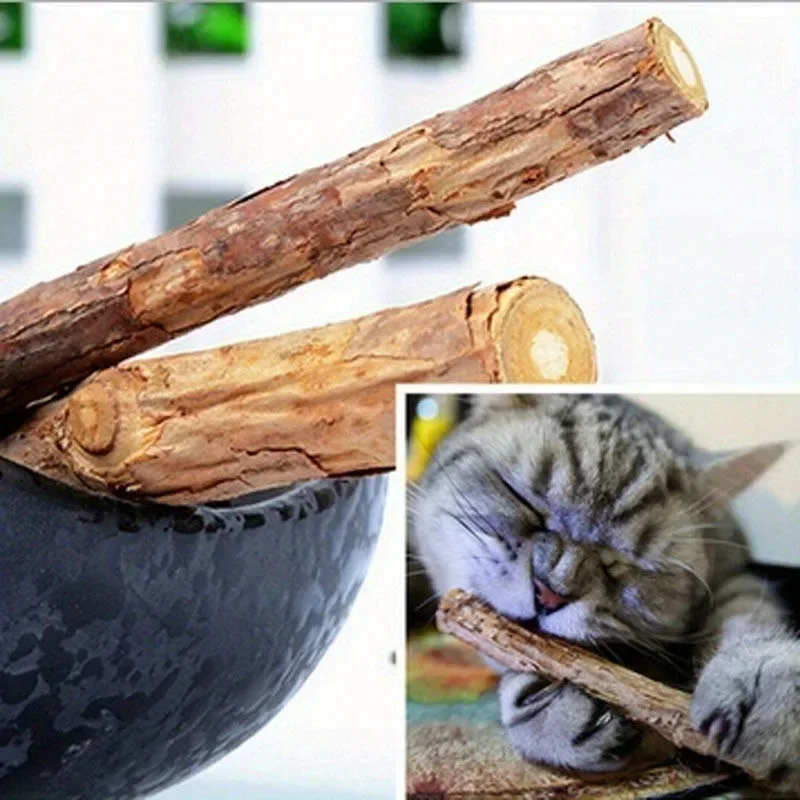 5Pc/Set Cat Cleaning Teeth Pure Natural Catnip Cat Molar Toothpaste Stick Silvervine Actinidia Fruit Matatabi Cat Snack Stick
