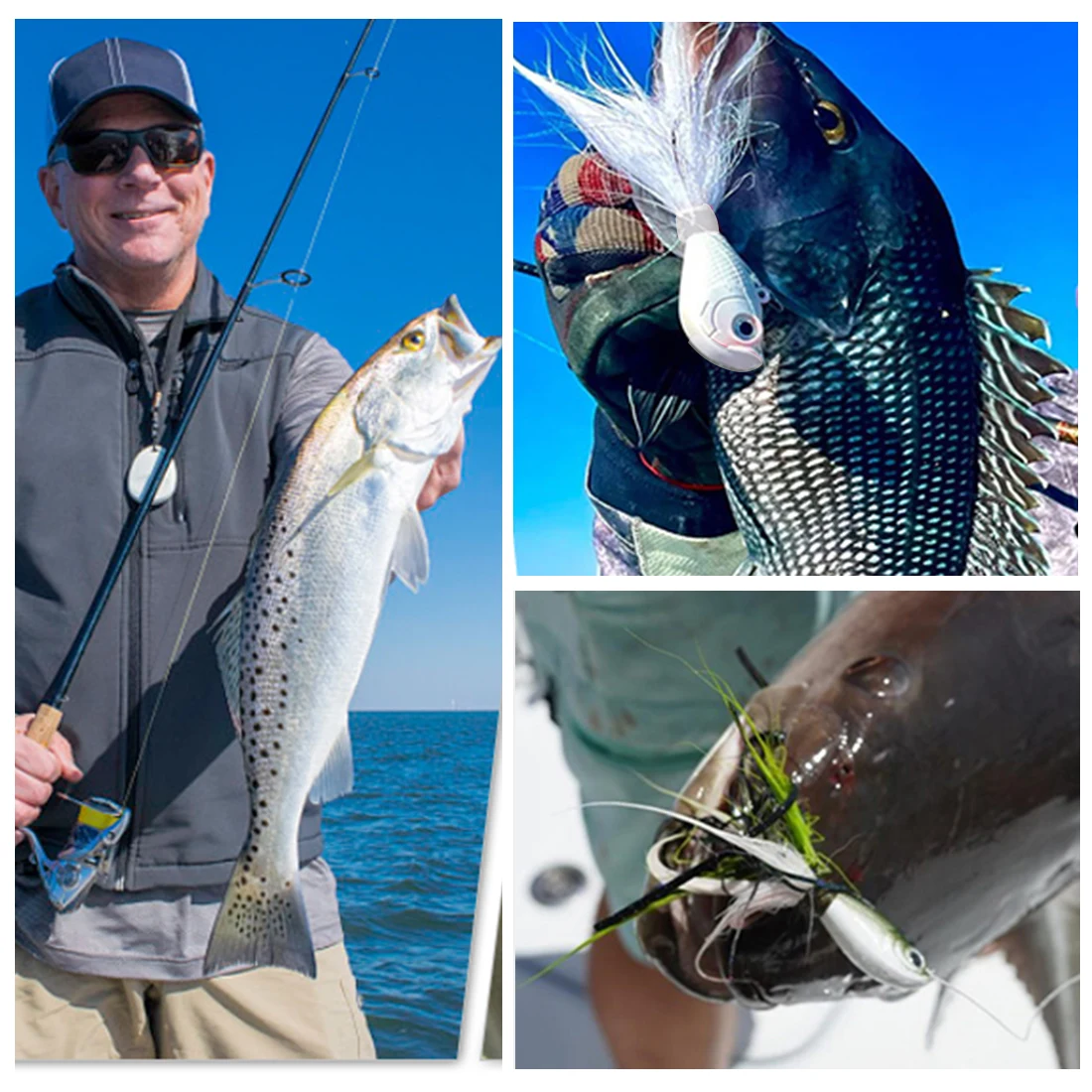 FishTrip 3pcs Hair Jig Head Sea Fishing Hook Bucktail Jig 7-56g Sea Multicolor Trout Bass Fishing Lure Accessories Saltwater - AliExpress 18 FishTrip 3pcs Hair Jig Head Sea Fishing Hook Bucktail Jig 7-56g Sea Multicolor Trout Bass Fishing Lure Accessories Saltwater - AliExpress 18