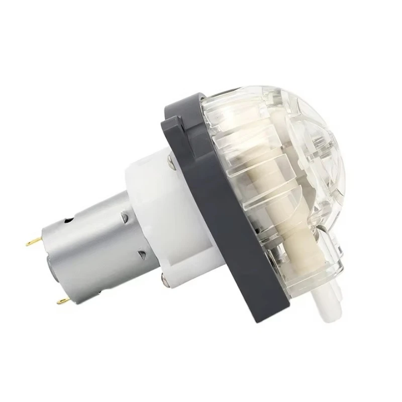 For 12V/24V peristaltic water treatment pump, dosing pump manufacturer with low voltage DC motor