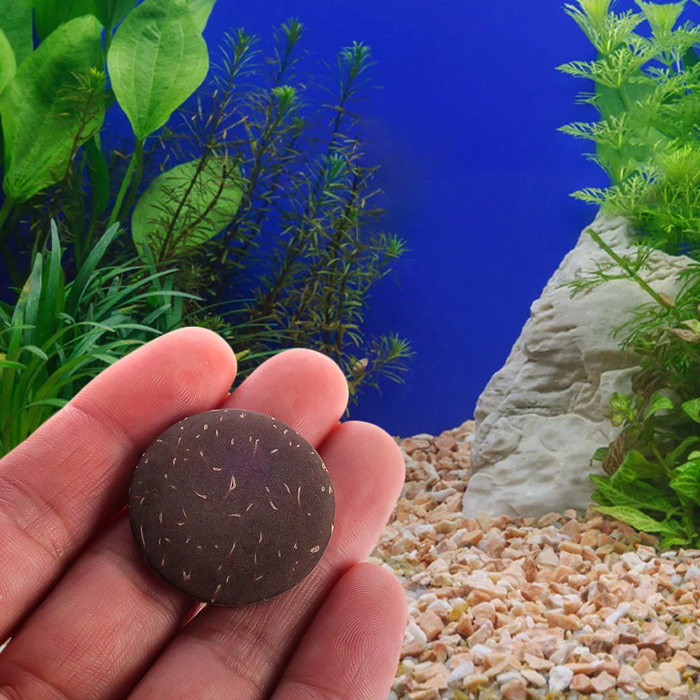 

10Pcs Fish Tank Decoration Coconuts Shell Chips Natural Landscape DIY Scenery Craft Supplies for Aquarium Scene