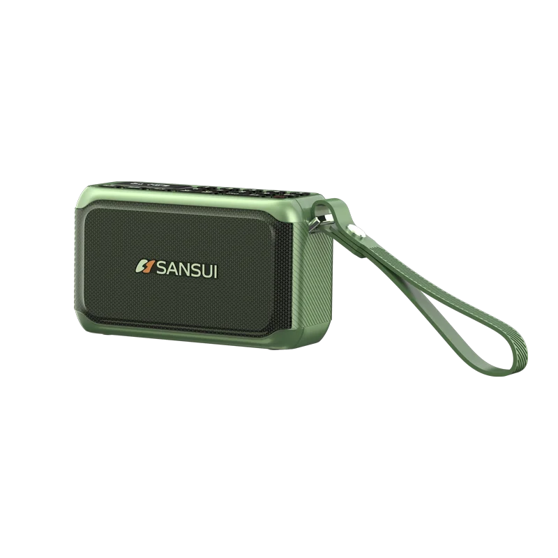 Цифровое FM-радио SANSUI F81 15 Вт беспроводной Bluetooth-динамик полнодиапазонный динамик басовая диафрагма HD-вызовы красочная RGB-подсветка AUX/USB