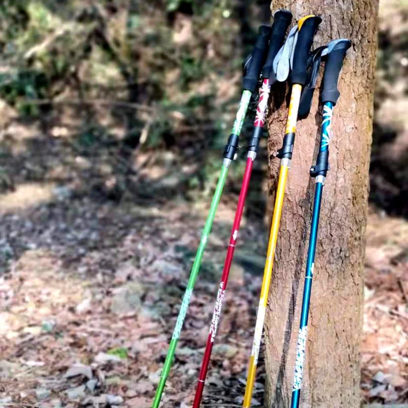 Palo de Trekking plegable para exteriores de 5 secciones, bastón portátil para caminar y senderismo para personas mayores nórdicas, telescópico, fácil de poner en bolsa, 1 Uds.