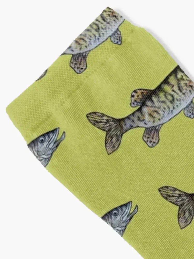 Musky Fish Illustration - Olive Green Socks christmas gifts essential Men Socks Women's