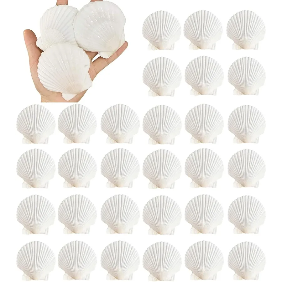 

30PCS tural Scallop Shells 2.3''-3'' White Sea Shells for Craft Making Hand Painting Ocean Themed Party and Home Décor