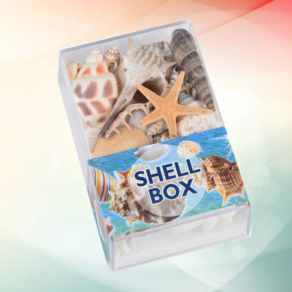 عينات الصدف الصدف للزينة الاكريليك محارة الحرفية الحلي صدف الشاطئ الطبيعي #6