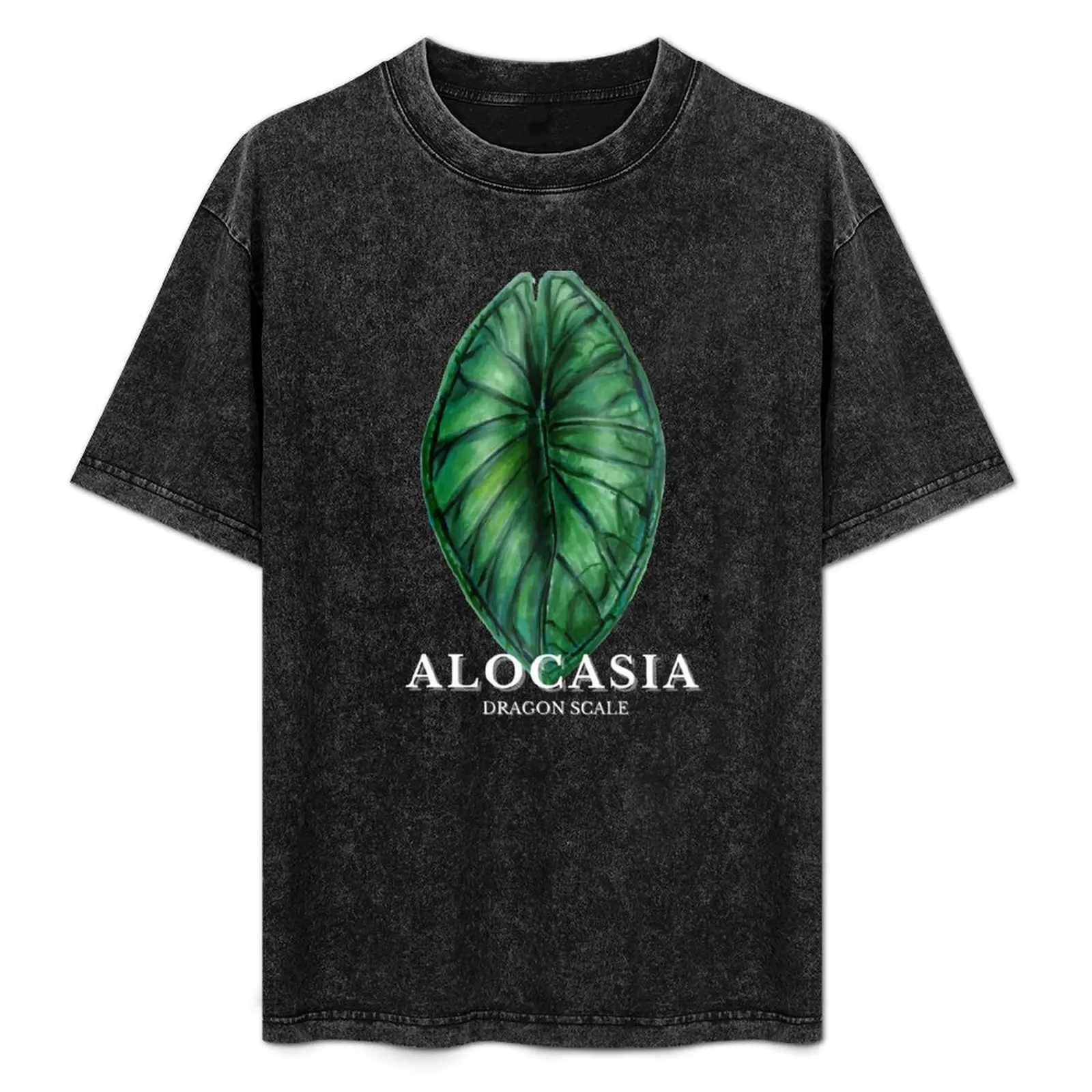 Alocasia Escamas de Dragón |   Arte de Plantas de Interior |   Camiseta I Love Alocasia Bundle, camiseta informal para el trabajo