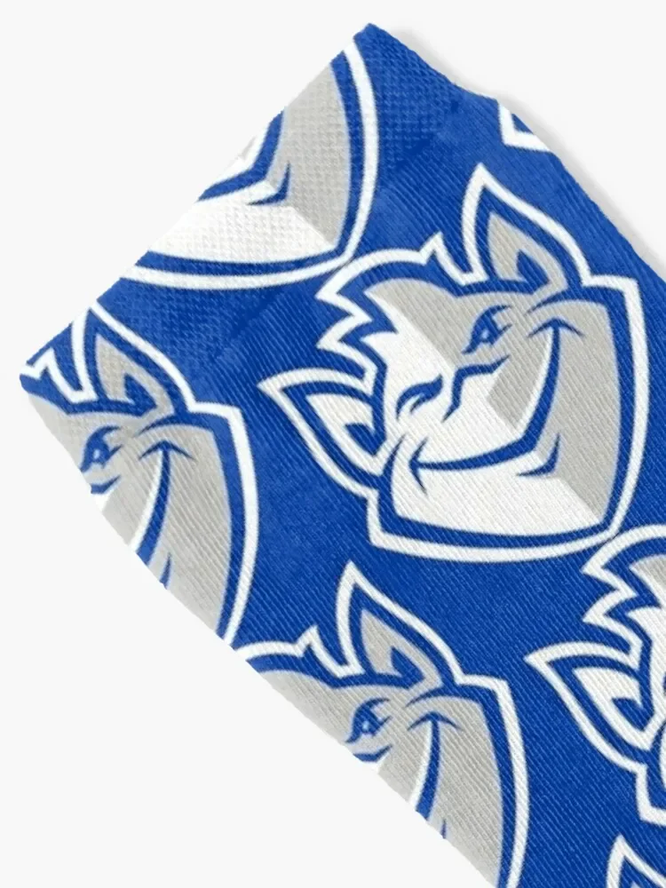 Saint Louis Billikens Socks winter floral cartoon Socks Girl Men's