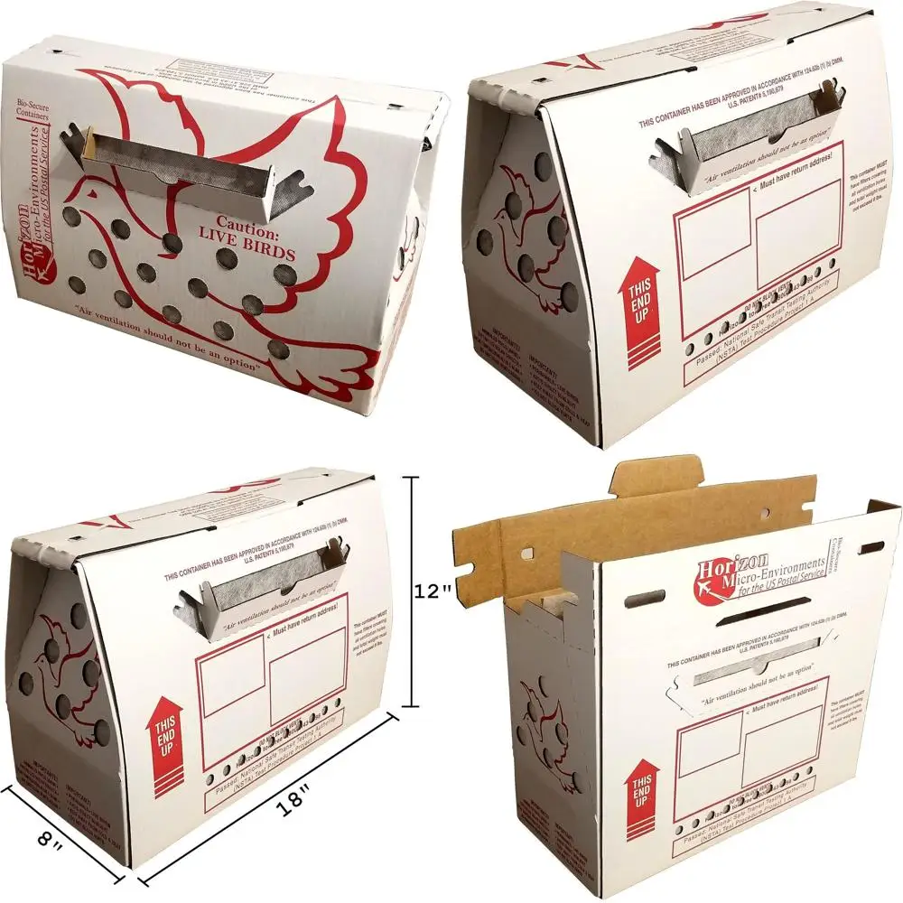 

3-Piece Breathable Crate Set for Live Chicken Transportation