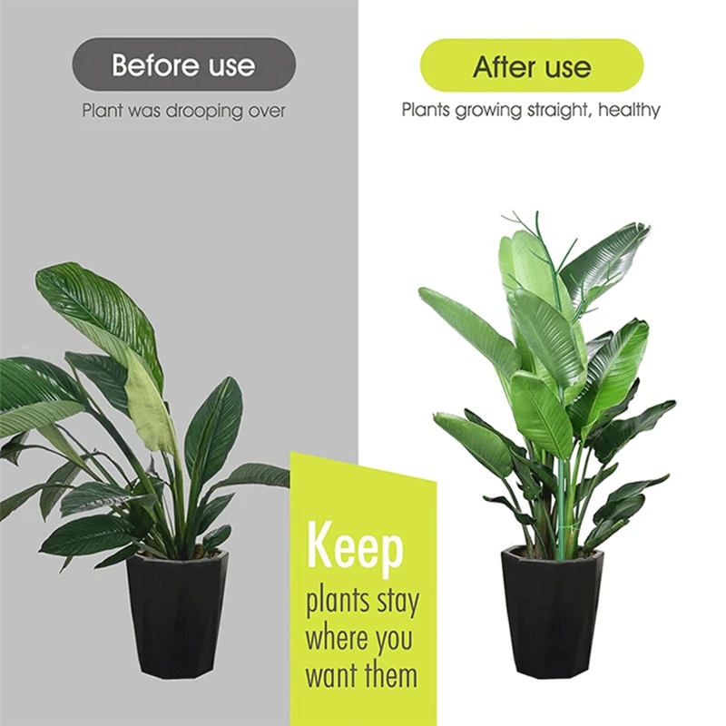 6팩 분리형 나뭇가지 식물 지지대 세트, 식물에 혼합, 난초가 있는 가지 식물 스틱