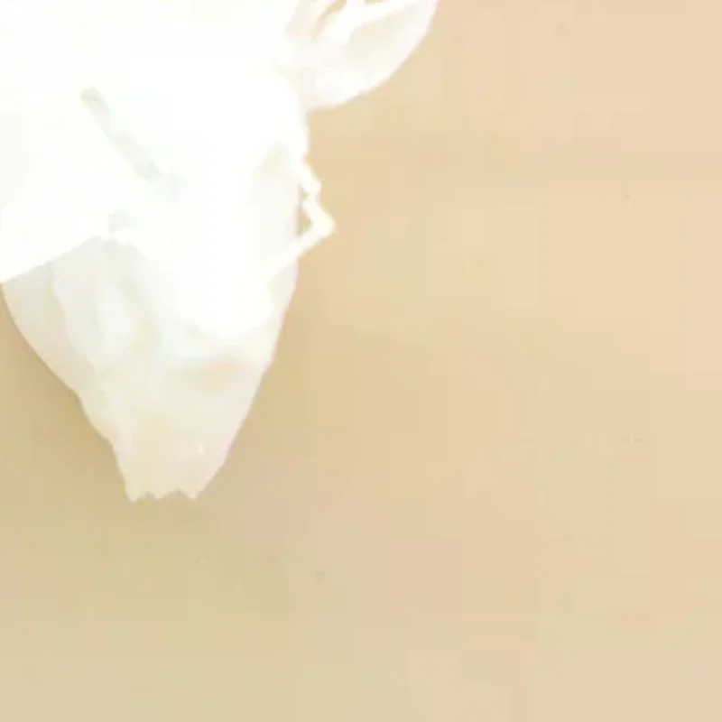 1/12 ドールハウス鹿の頭壁掛け装飾ドールハウスミニチュアクリスマスシーンオーナメントドールハウスアクセサリー