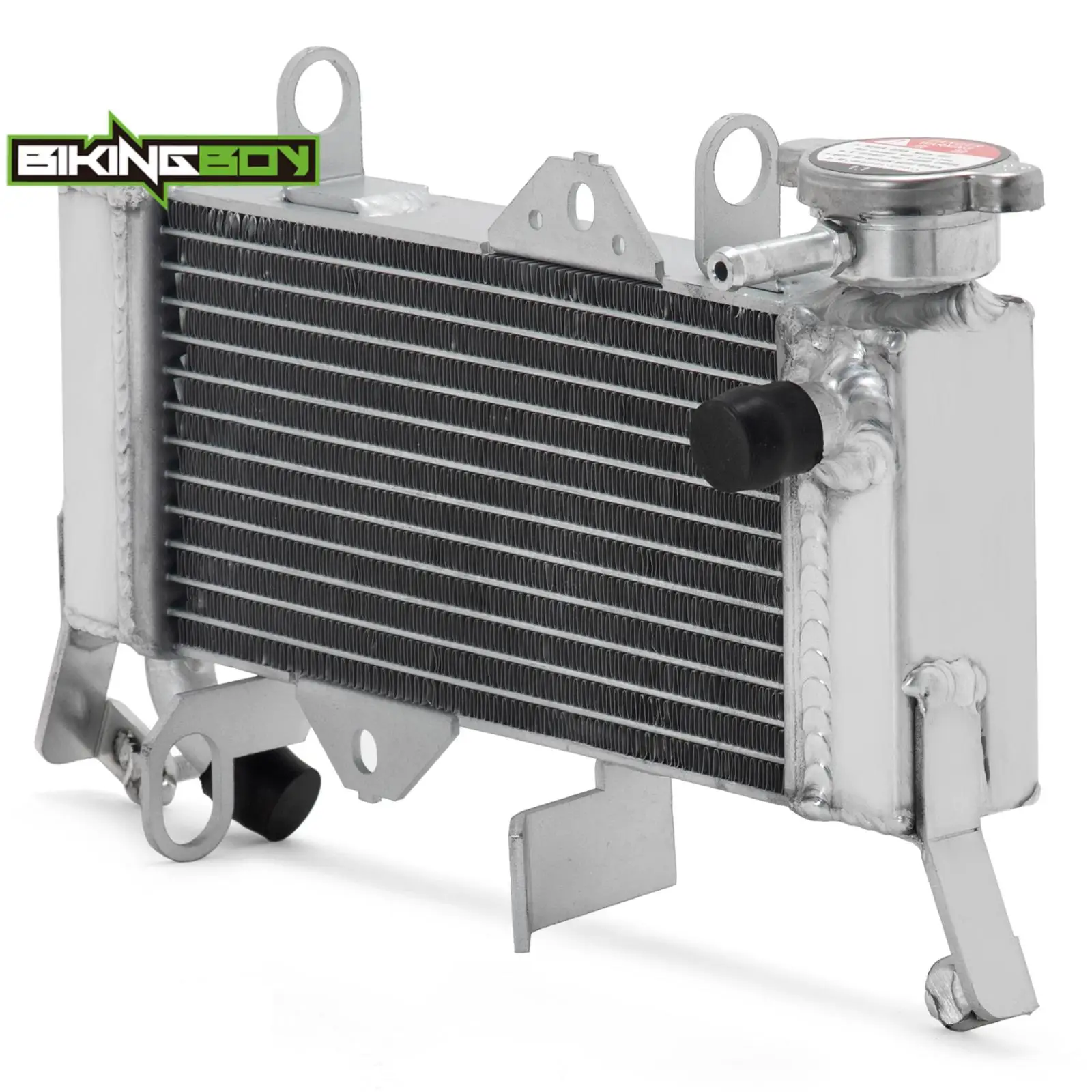 BIKINGBOY For Yamaha YZF R15 R15M 17-22 YZF125R 19-24 MT 125 20 21 22 23 24 Engine Radiator Cooling Water Cooler BK6-E2460-01