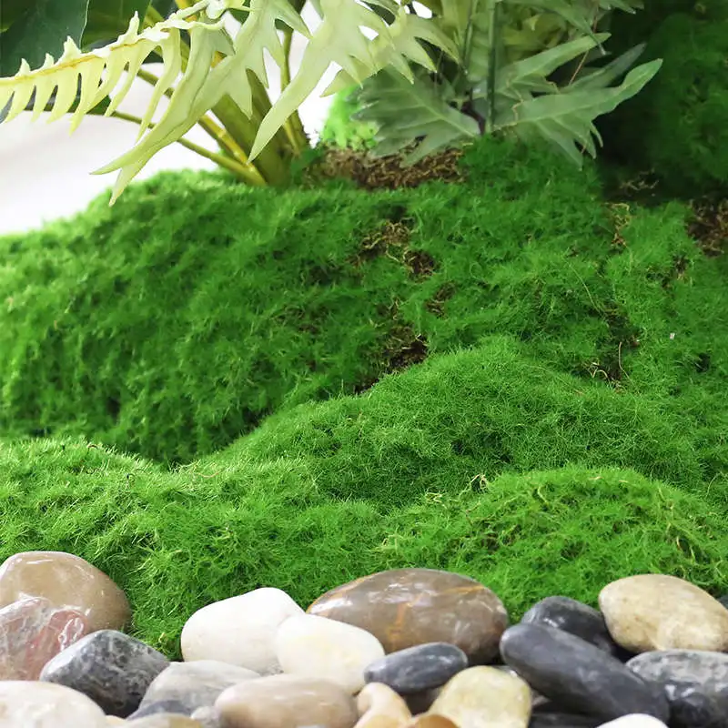 Artificial plant landscaping, moss, green plants, moss, paving, landscape decoration, bonsai, materials, and plants