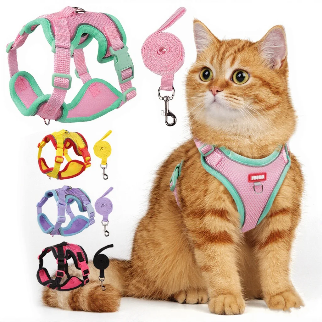 #89 Best Puppy Harnesses to Buy In 2026