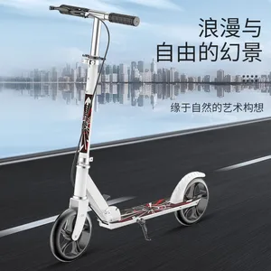 Urban Folding Skig-Scooter für Erwachsene, zwei Räder, 2 Räder, Handbremse, Mobilität, Camping, Erwachsener, Jugendlicher, Roller, Cocuk 6 Hauptverkaufstrotinea -Erwachsener - №4