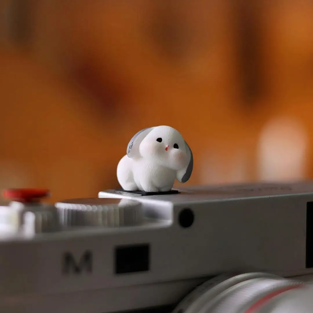 Cute Rabbit kept for payment Series Hot Shoe Cover for Leica Q2 Fuji X100V X-T5 Sony ZV-1 Canon EOS R5 Nikon Z5 Camera Accessori view 4