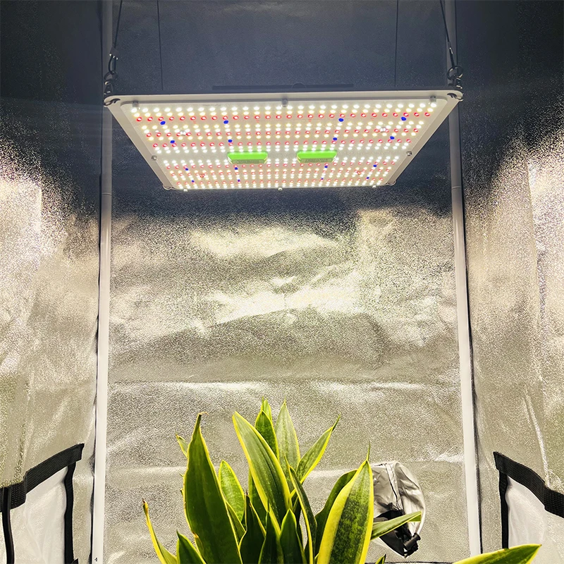 KingBrite 100W 150W LM301H EVO LED grow light with UV and IR channels