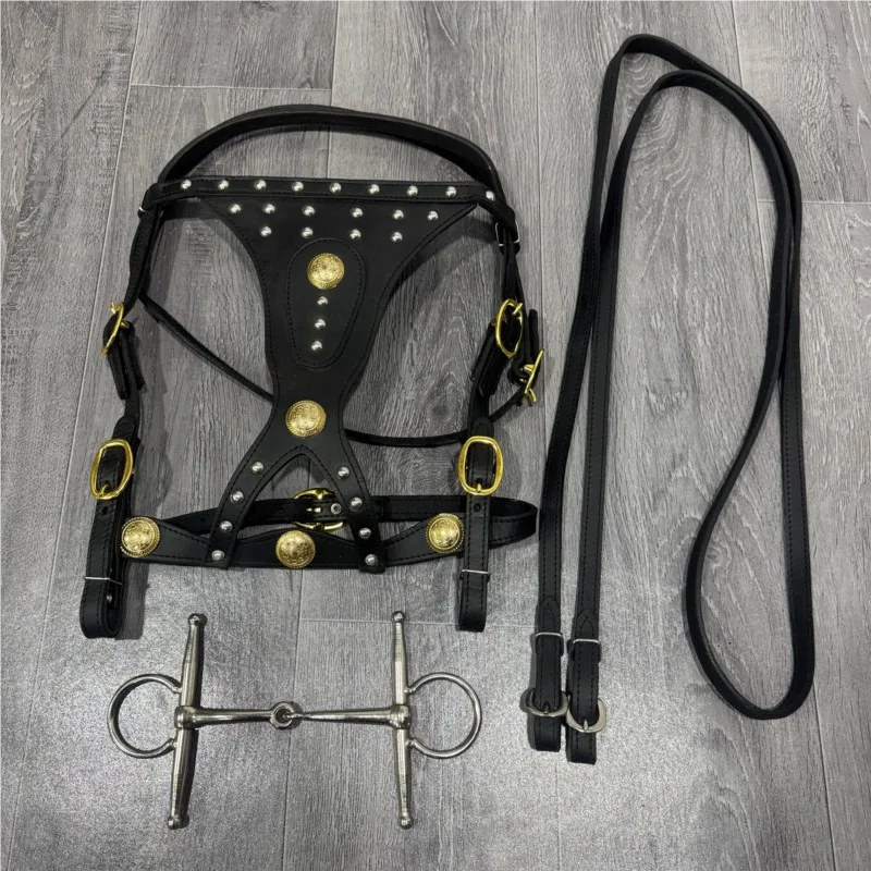 juego-completo-de-bridas-y-correas-accesorios-de-arnes-para-caballos-hebilla-metalica-equipo-elegante-para-caballos-grandes