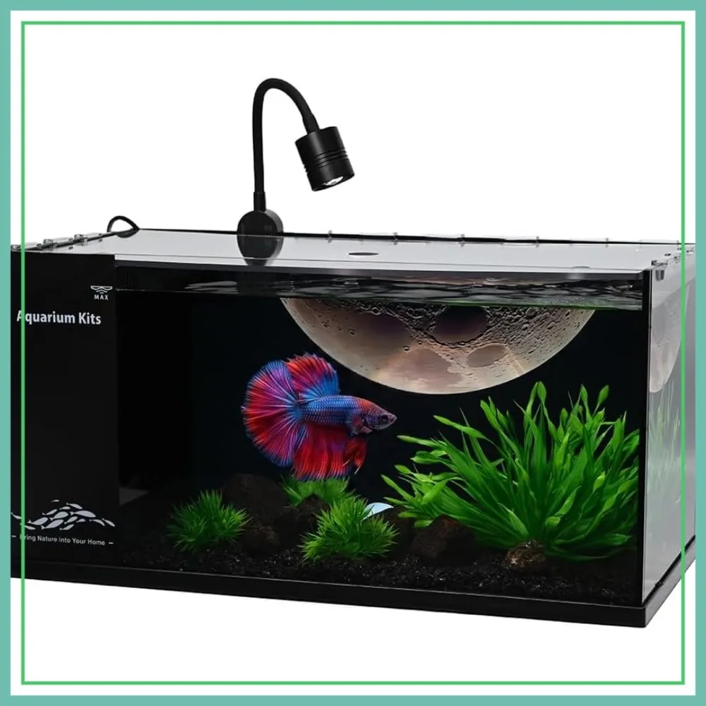 

3.5 Gallon Fish Tank Kit, Ultra-Clear Nano Aquarium for Betta, Desktop Starter with Planet Background
