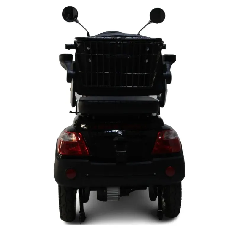 EU Popular 3 Wheel Model Gecko-P  M In China Moped Scooter 60V 25Km/H  Mobility Electric Scooter With Bas