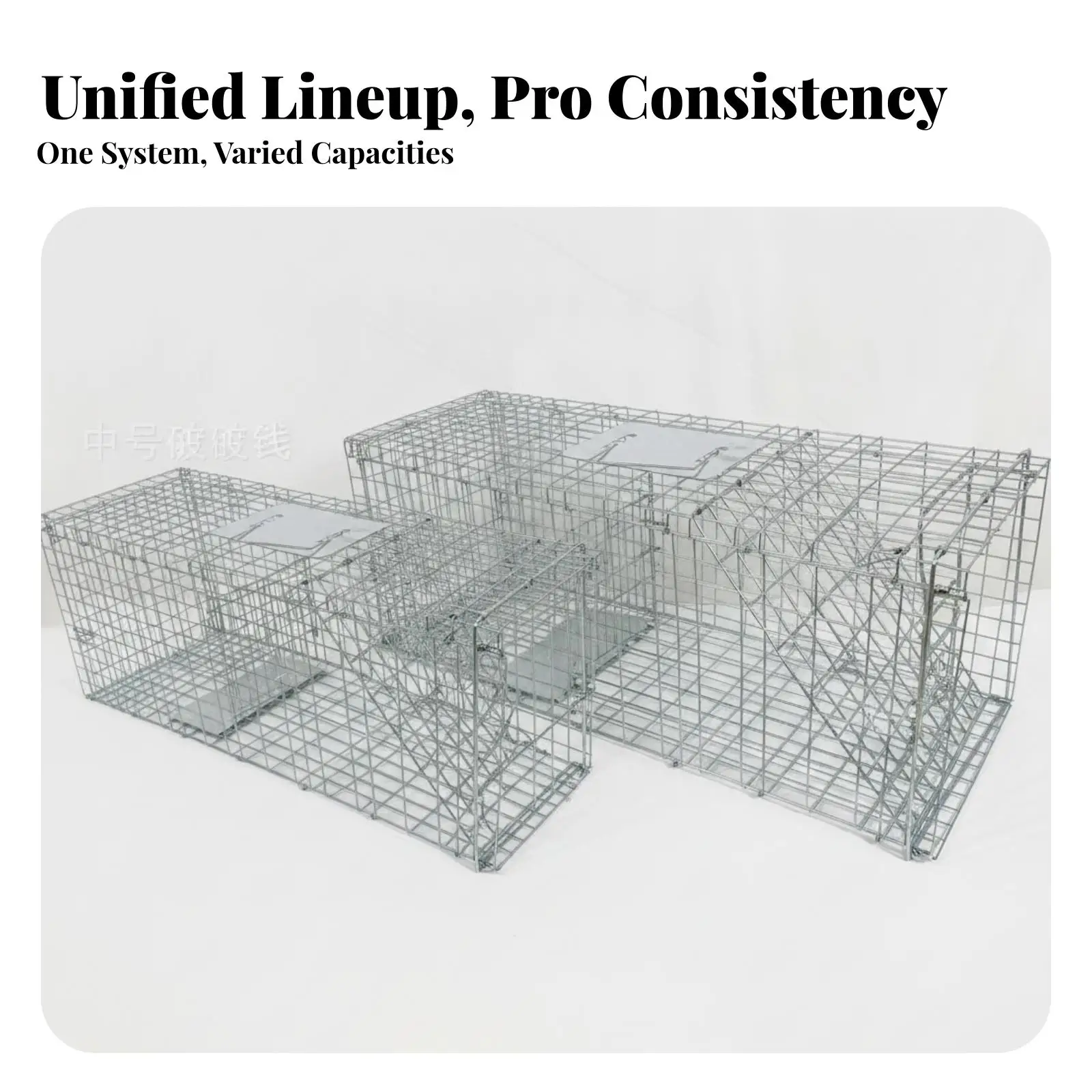 Humane Folding Cat Trap Cage with Responsive Treadle Design for Safe Stray Cat Containment and Easy Collapse