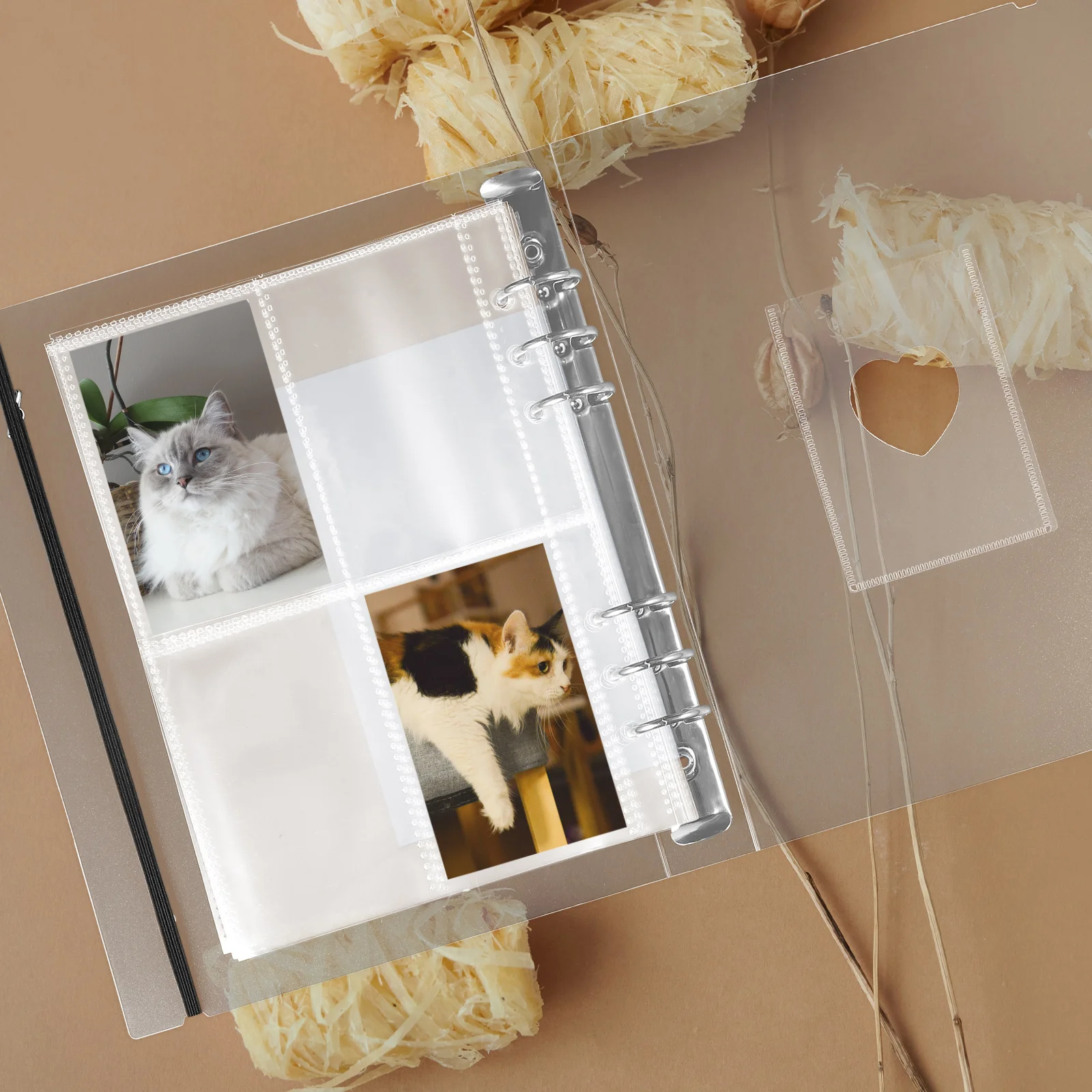 1 مجموعة ألبوم الصور صفحة المجلدات مادة PP واضح فضفاض ورقة تصميم معرف بطاقات الهدايا الائتمانية تخزين مقاوم للماء العملي #6