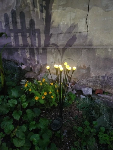 리뷰 사진