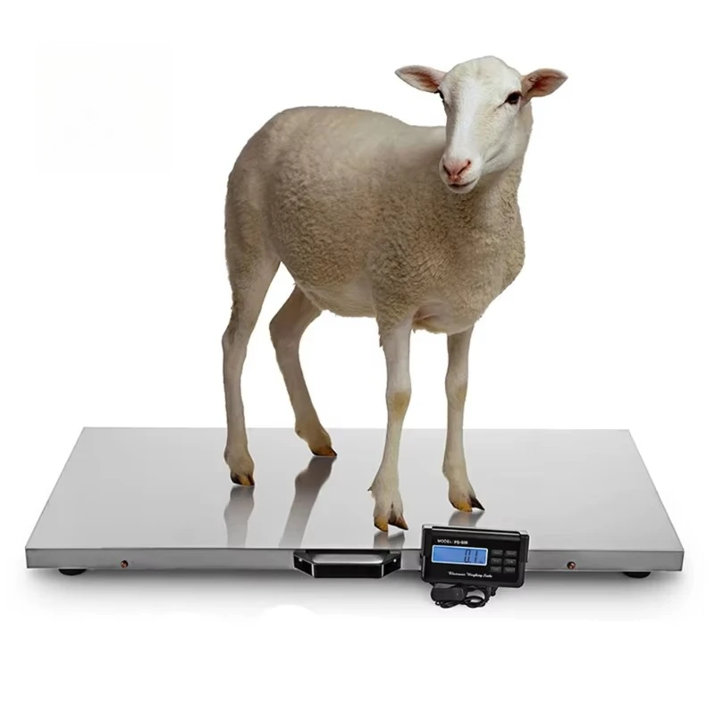 2026 Large Platform Electronic Pet Scale for Big Dogs Veterinary Instrument for Animal Use and Pet Supplies